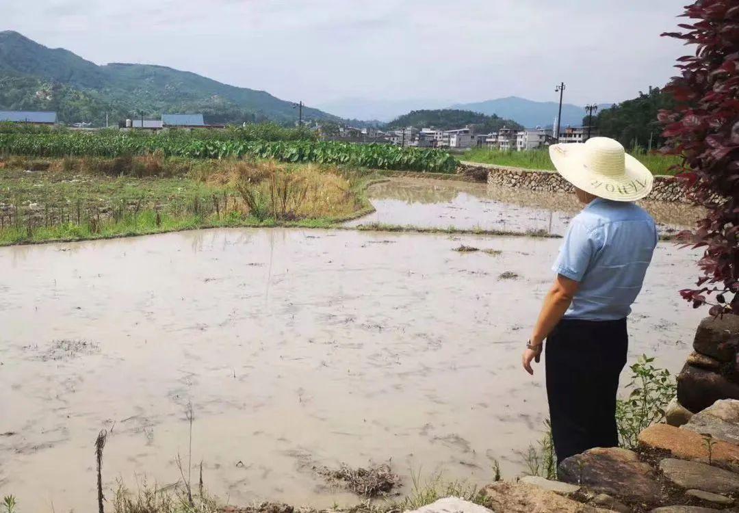 录坪村民委员会最新动态报道